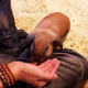 Image for article titled A Visit to Japan's Bunny Cafes